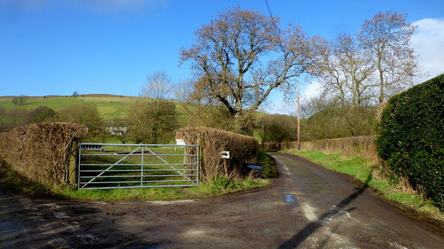 Lane to Perthycolly