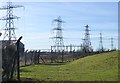 Pylons left after demolition of Cambois Power Station