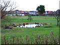 Pond near The Bay Holiday Village