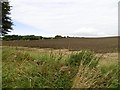 Field near Balharry