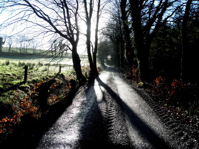 Lane in shadow, Loughmuck