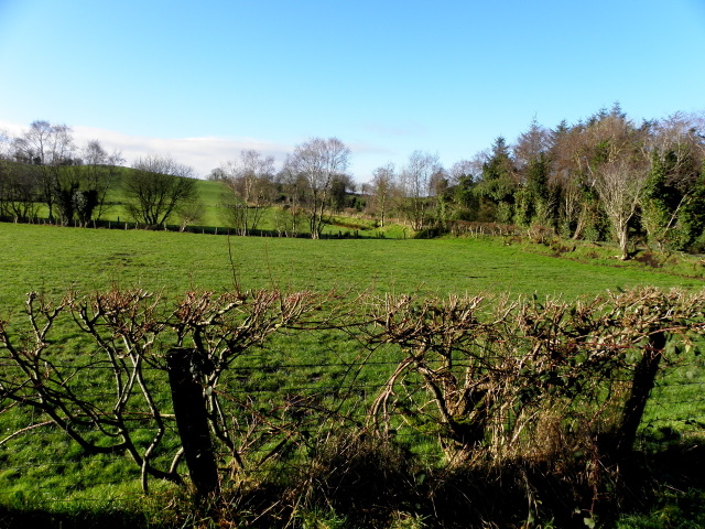 Mullaghmore Townland