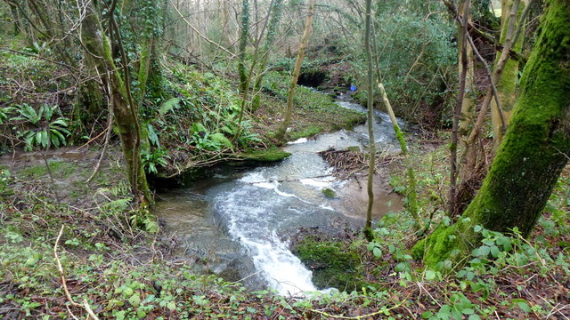 The Millhalf Brook