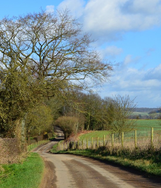 Country lane, Goring, Oxfordshire
