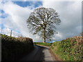 Minor road junction above Uffculme