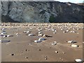 NZ4347 : Stones on Blast Beach by Oliver Dixon