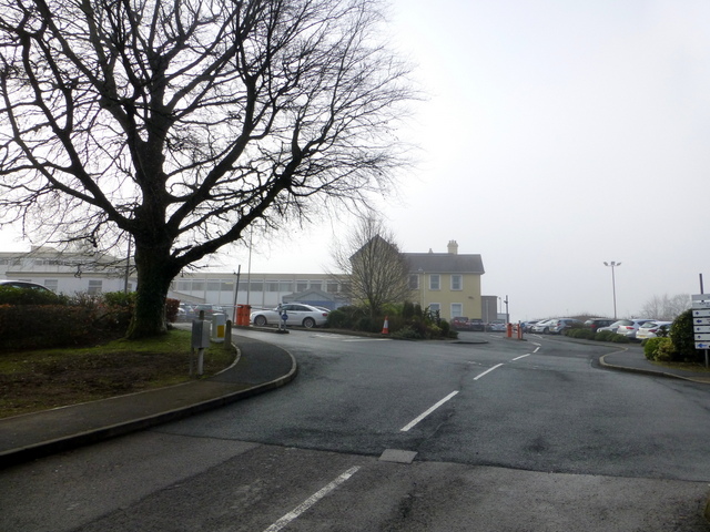 Foggy at the Education Offices, Omagh