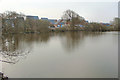 Mallards Reach from across Meadow Lake, Porthcawl