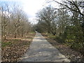 Waterfall Walk in Brunswick Park