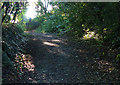 Path along the top of Saltersford Tunnel