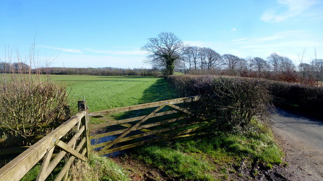 Gate and lane