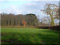 Towards Farringdon Wood