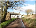 Southdown Cottage