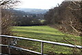 Pasture, above Pentwyn-mawr