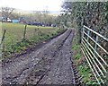 Track to Henborough Farm