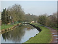 Canal view towards the bridge near to Broxbourne