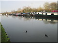 Canal at Stanstead Lock