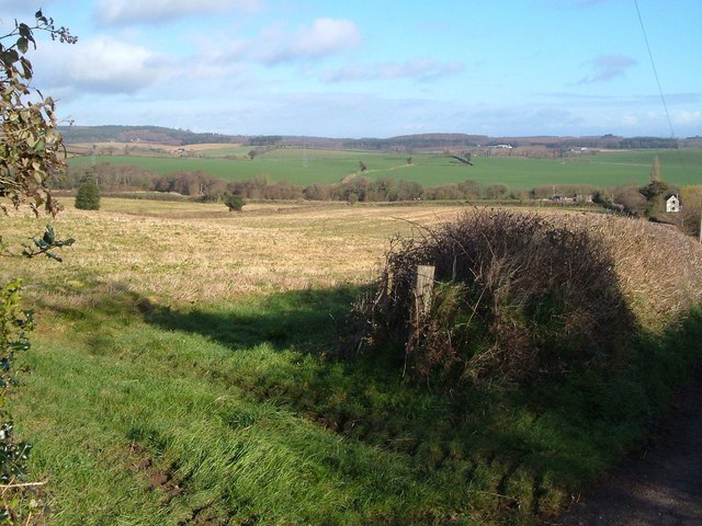 Field by Duckaller Farm