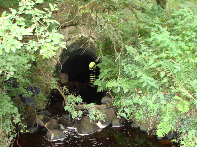 Tunnel under old railway line