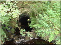 Tunnel under old railway line