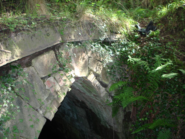Tunnel under the old railway