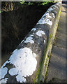 Lichen on north parapet, Whitley Abbey Bridge, Whitley, Coventry