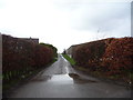 Track to Field House Farm