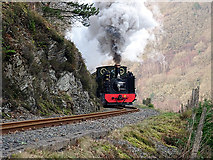 SN7377 : Vale of Rheidol Railway locomotive No.8 by John Lucas