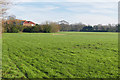 Playing Fields, Darby Green