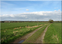 TL4256 : A view from the bridle path by John Sutton