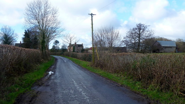 Lane at Questmoor Farm