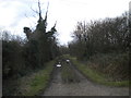 Track west of Stubbins Farm