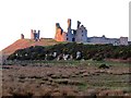 NU2521 : Dunstanburgh Castle from south by Andrew Curtis