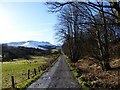 NS5887 : Track to The Mount Farm, near Fintry by Alan O'Dowd