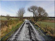 H5774 : Cloghglass Road by Kenneth  Allen