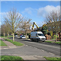 Street-light maintenance in Wulfstan Way