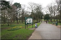 ST1776 : Bute Park, Cardiff by Richard Sutcliffe