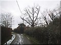 Plough Lane, Buckland