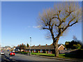 Dixon Street near Rough Hills, Wolverhampton