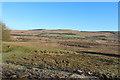 Farmland at Auchenroy