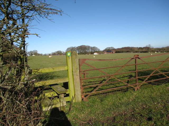 Stile for footpath through grazing field heading for B5101