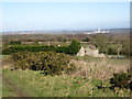 SJ2557 : Land surrounding Ffrith Farm buildings  with a view by Maggie Cox