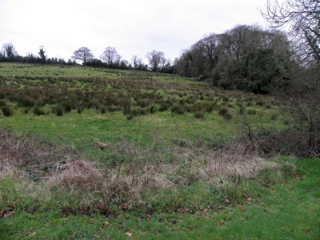 Rushy Ground, Erganagh Glebe © Kenneth Allen Cc-by-sa 2.0 :: Geograph 