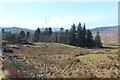 Farmland at Holm of Daltallochan