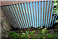 Underneath Grating near Henbury Church