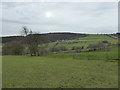 View to Middle Woodbatch farm from Upper Woodbatch farm