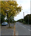 Traffic lights on Marston Lane, Bedworth