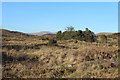 Scrubland near White Hill