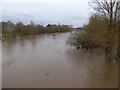SX9290 : River Exe in flood in 2016 by David Smith
