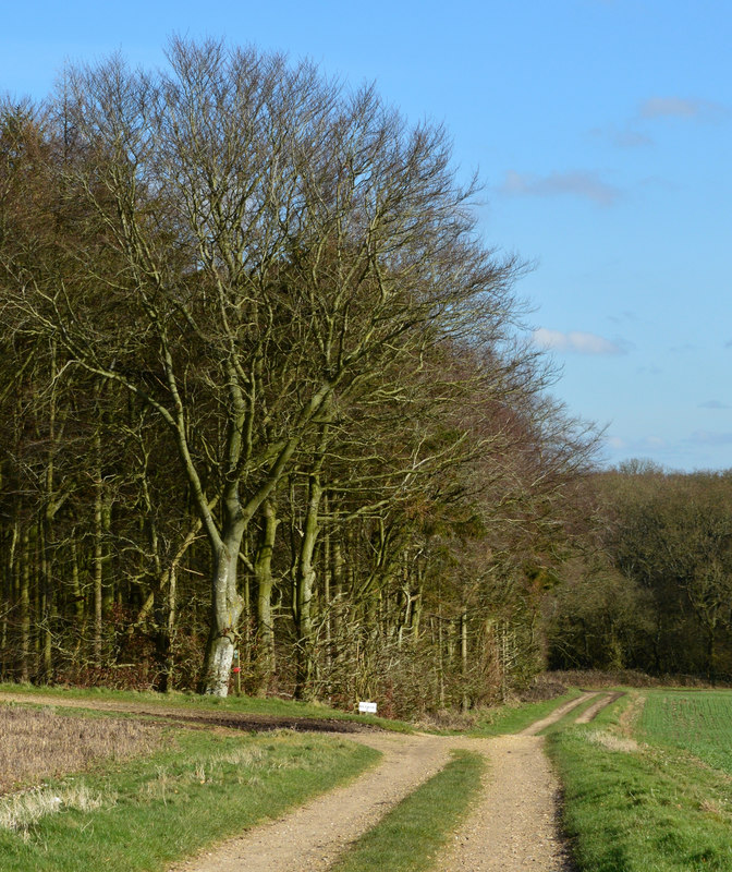 Footpath, Litchfield, Hampshire © Oswald Bertram cc-by-sa/2.0 ...